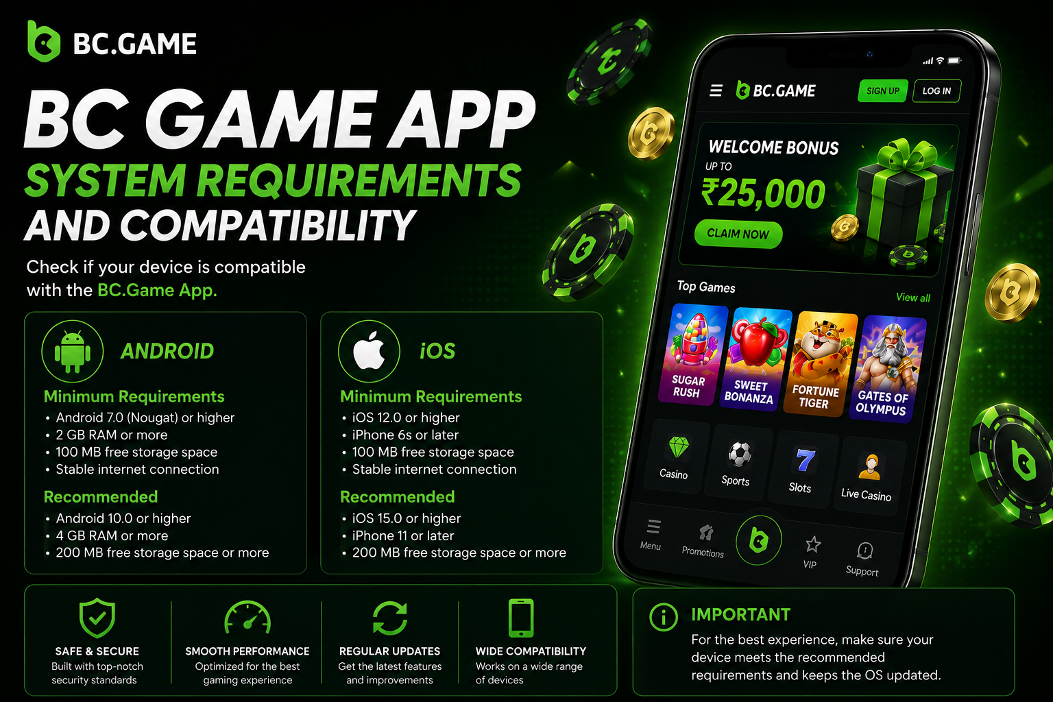 Payments, Bonuses and Account Conditions at BC Game India